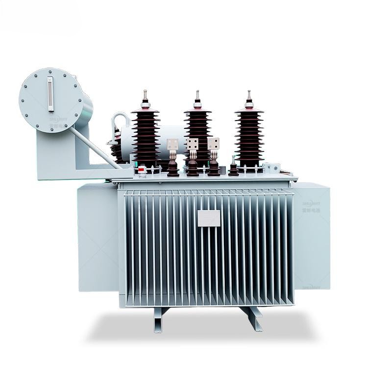S20 Oil Immersed Transformer